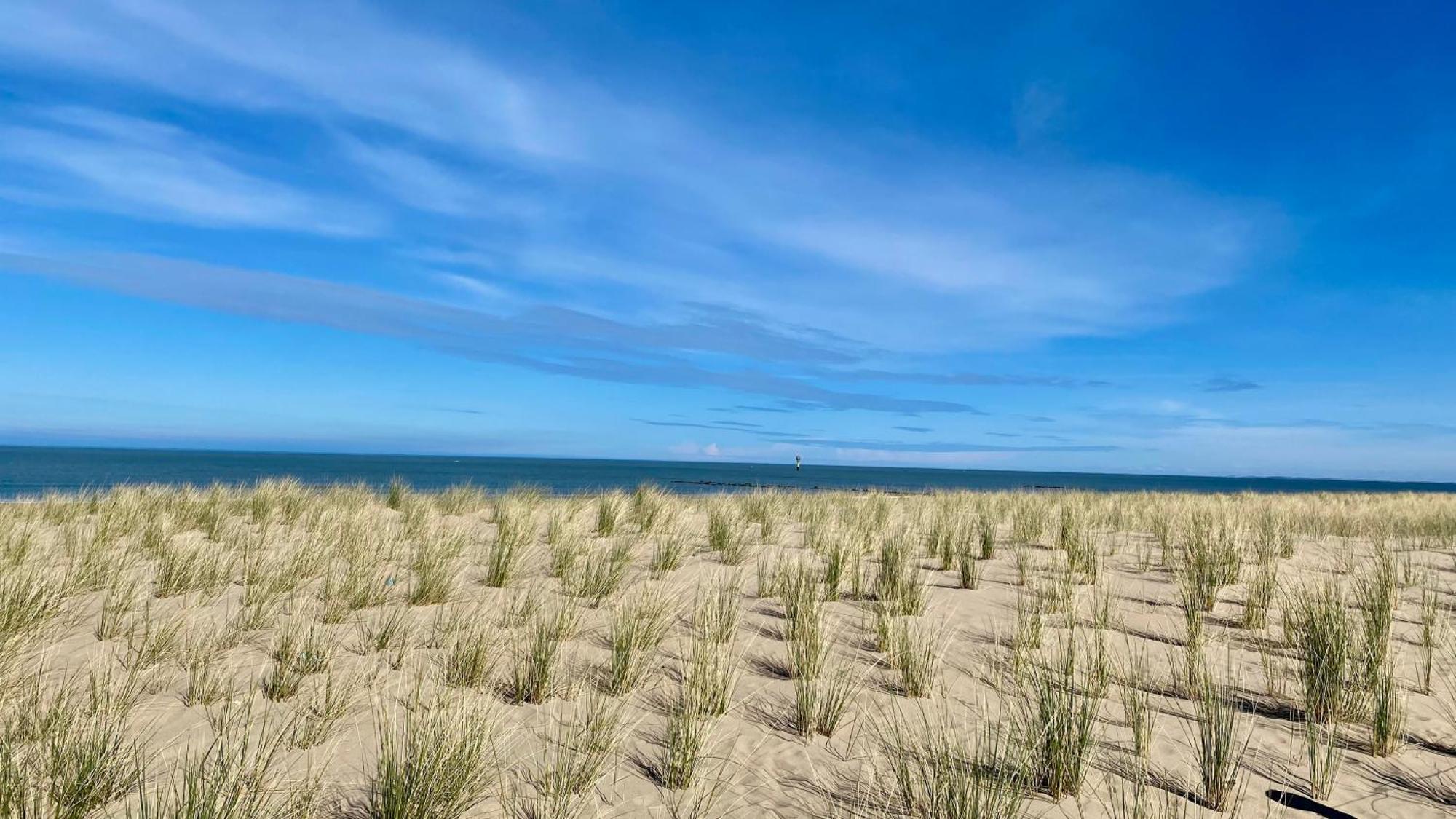 Royal Knokke Apartment ภายนอก รูปภาพ